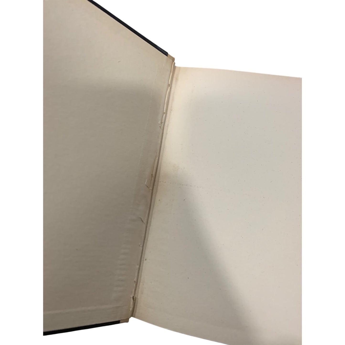Libro I Pirati di Mario Monti