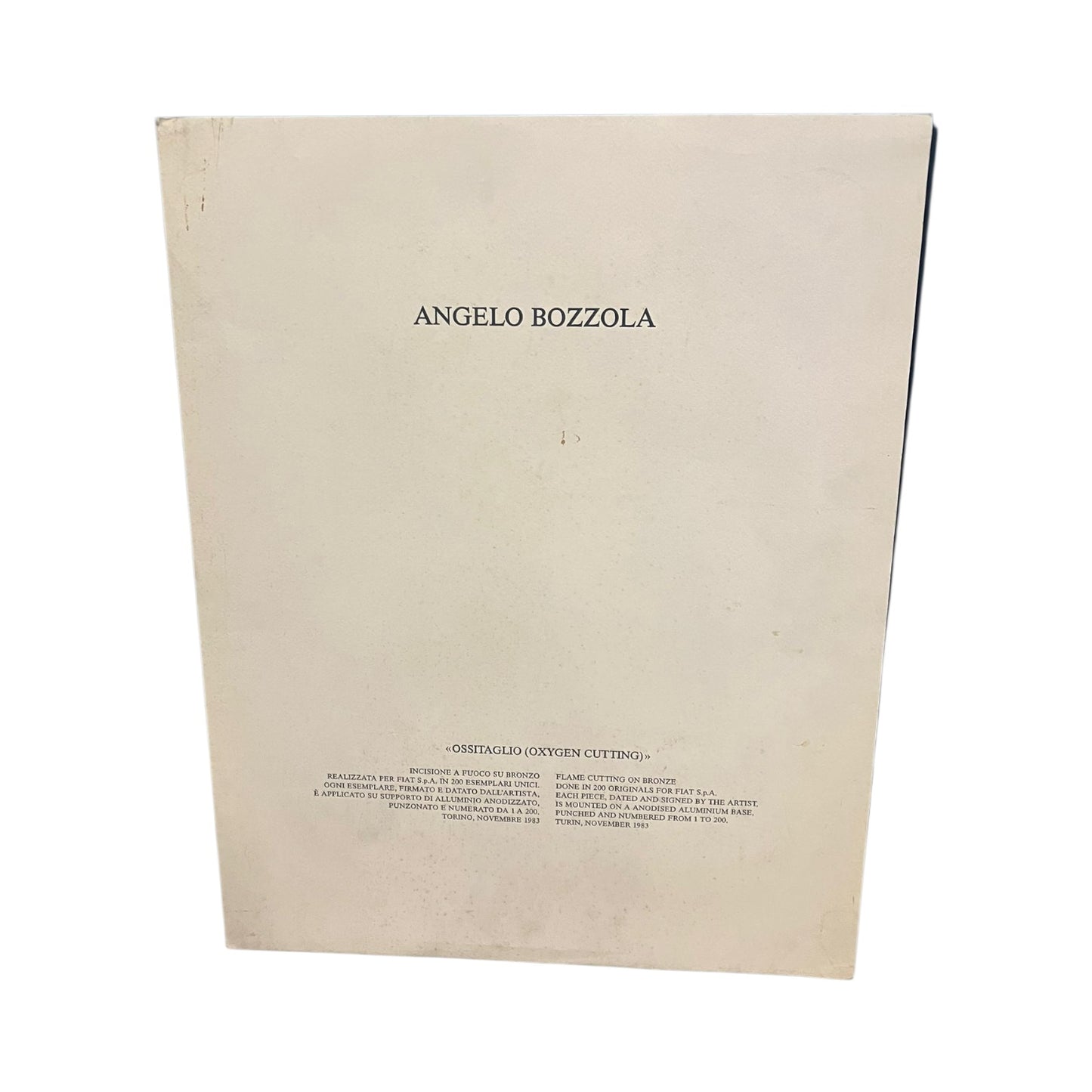 Quadro Multiplo Angelo Bozzola