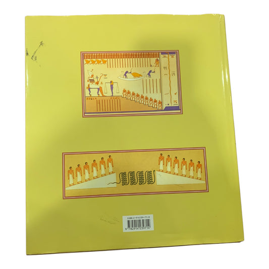 Libro Illustrato Descrizione Dell’Egitto