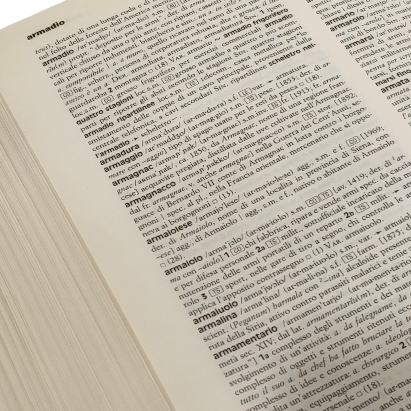 Grande Dizionario Italiano Dell'Uso