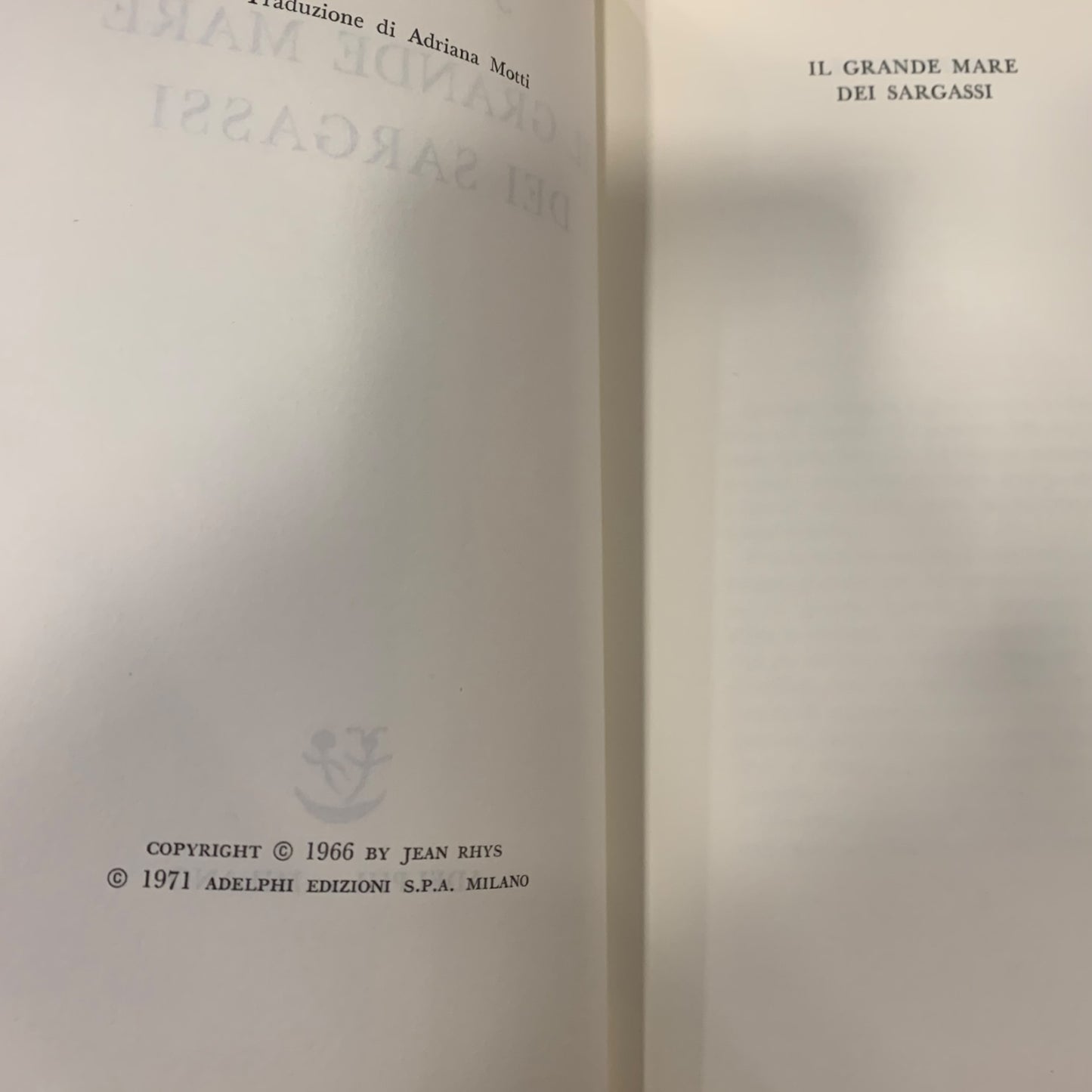 Libro Il Grande Mare Dei Sargassi