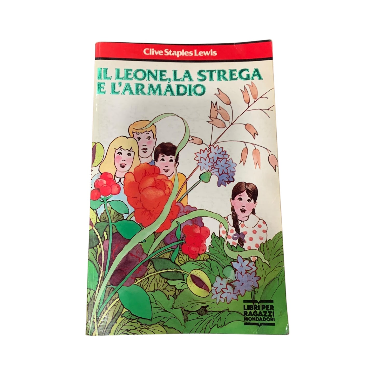 Libro Il Leone La strega e L’armadio
