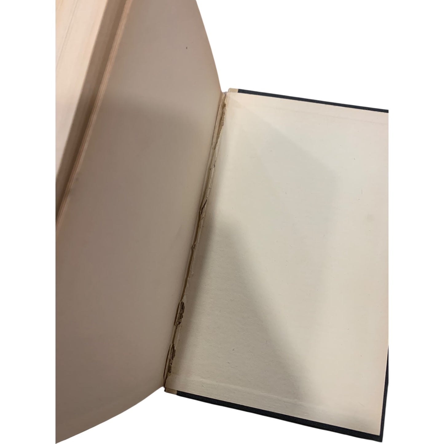 Libro I Pirati di Mario Monti