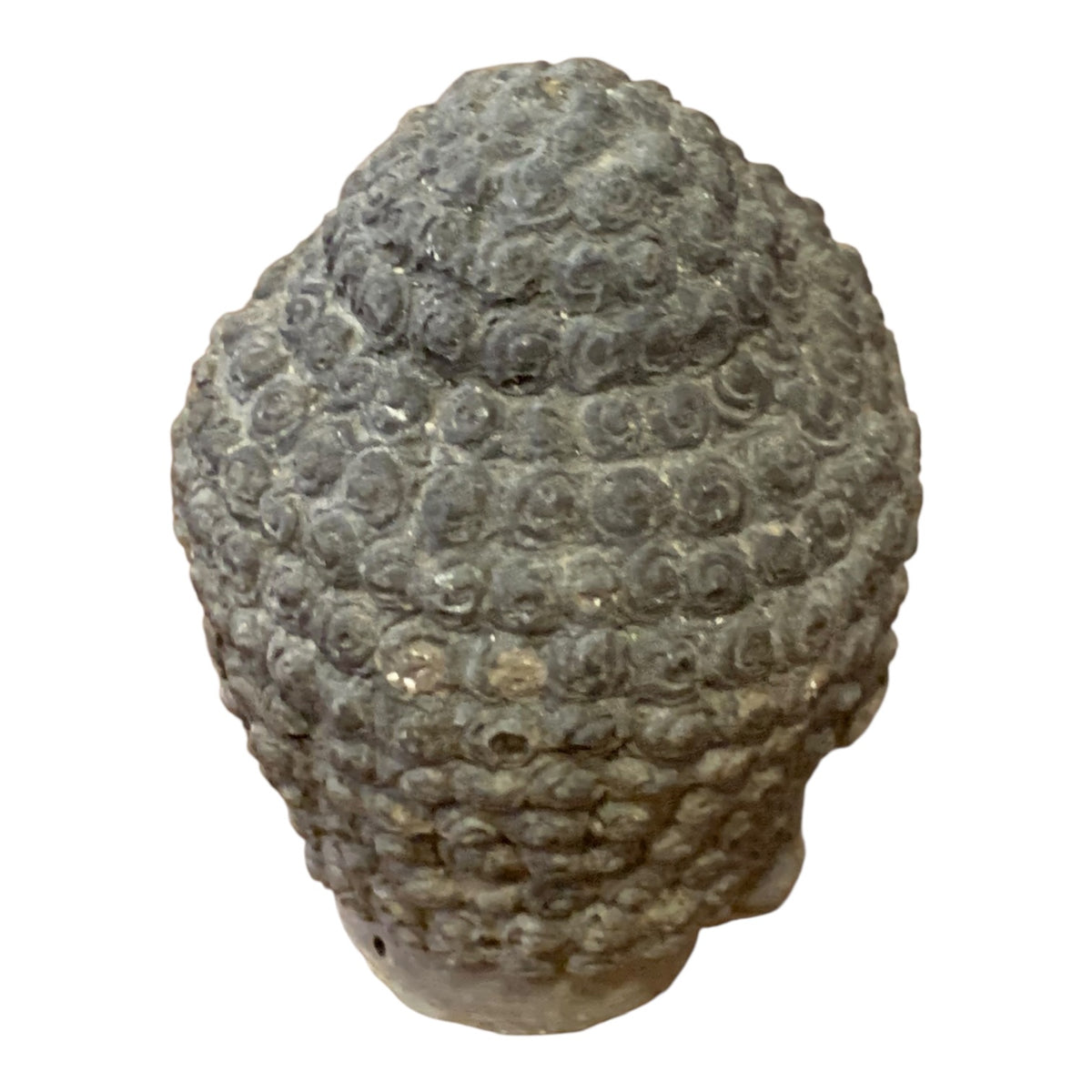 Statuina Testa Budda