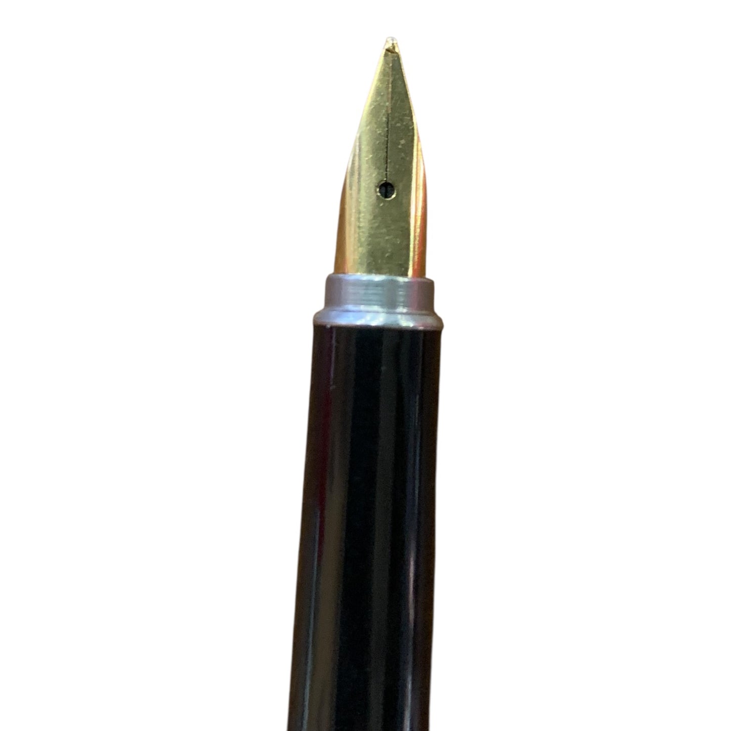 Penna Stilografica Aurora Marco Polo