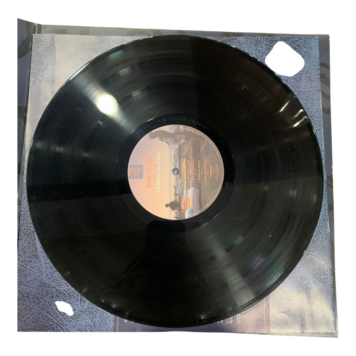 Vinile 33 Giri Pink Floyd