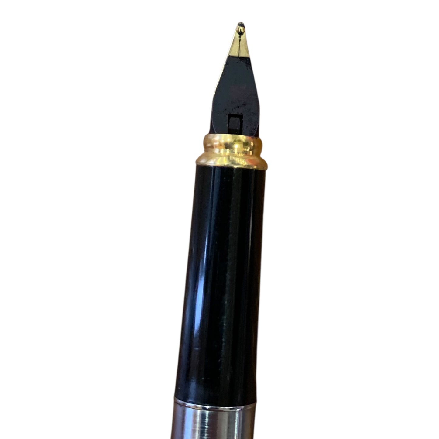 Penna Stilografica Aurora Magellano