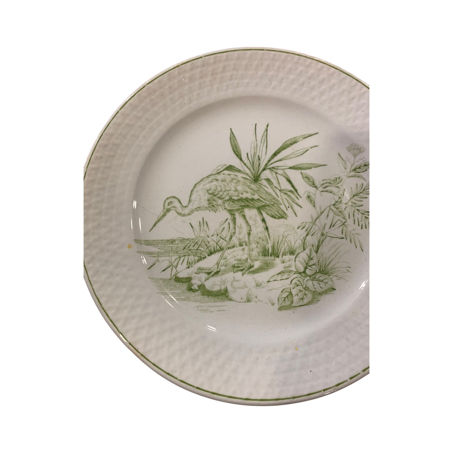 Piatto Collezione Richard Ginori Airone