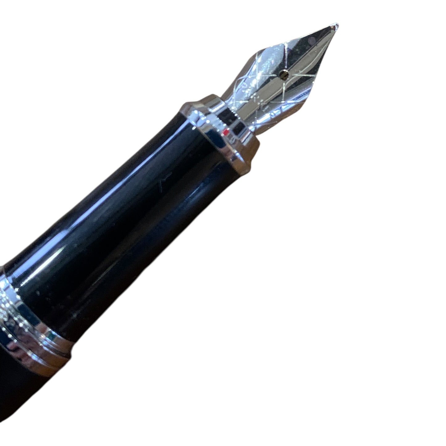 Penna Stilografica Parker