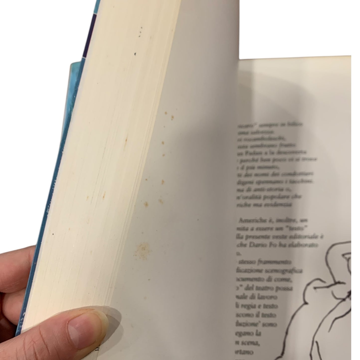 Libro Johan Padan A La Descoverta De Le Americhe