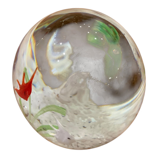 Fermacarte Vetro Pesci