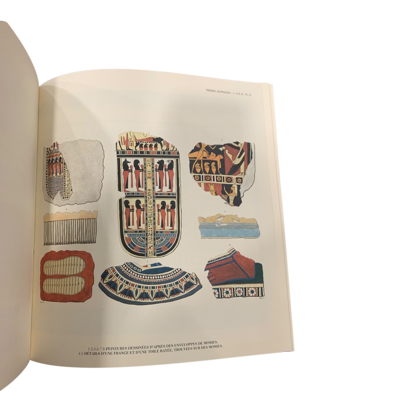 Libro Illustrato Descrizione Dell’Egitto