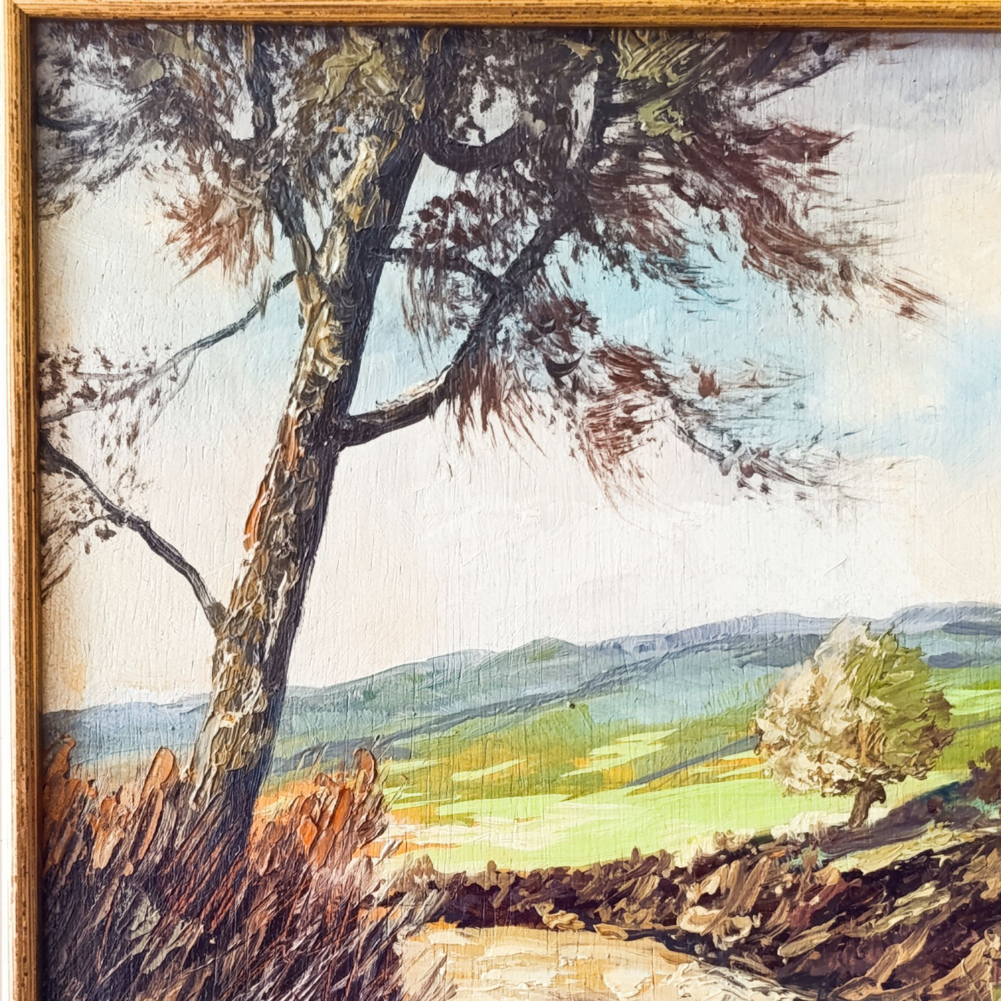 Dipinto Olio Su Tela Di Fornasari