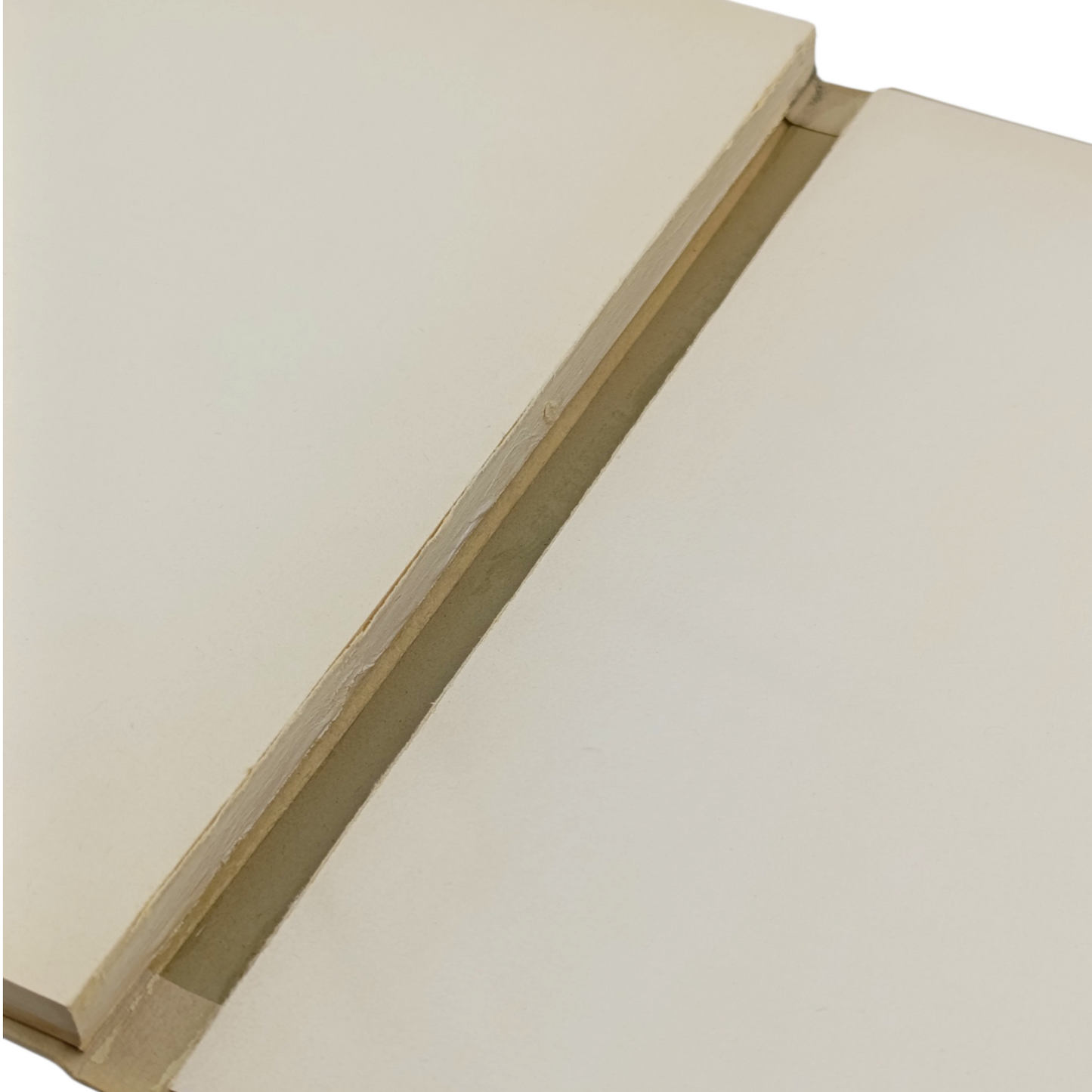 Libro Il Pittore Enrico Reycend, N. 276/999