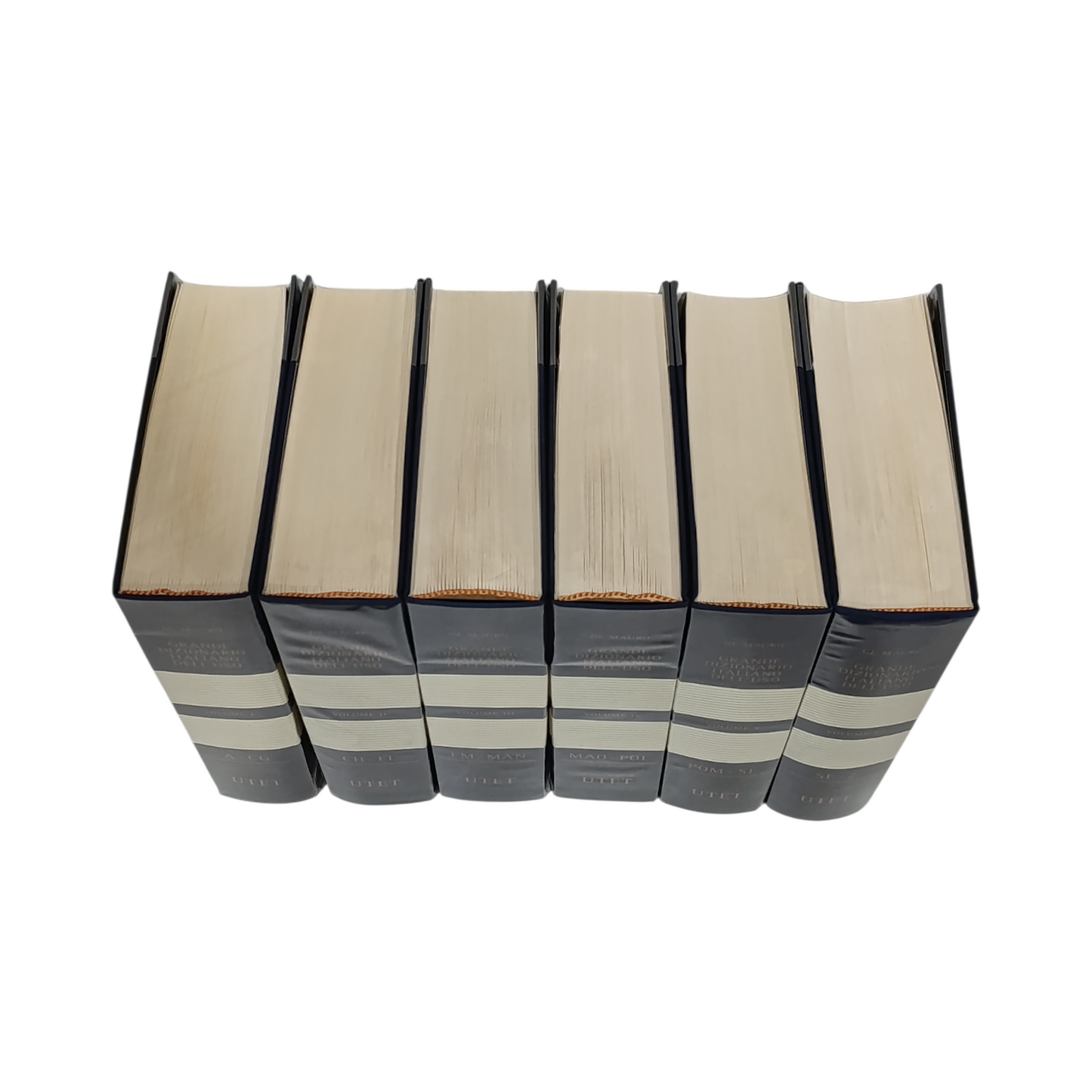 Grande Dizionario Italiano Dell'Uso