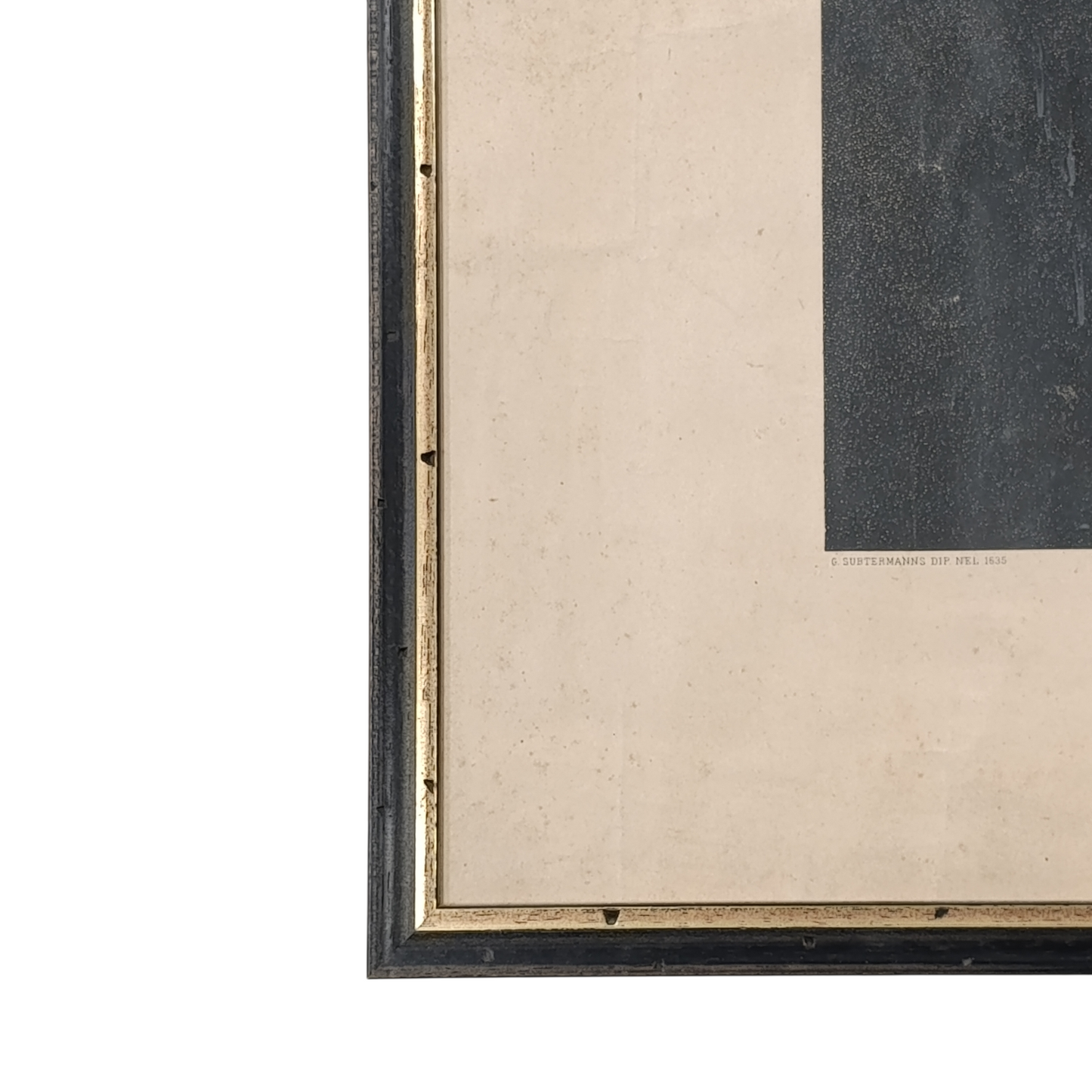 Stampa Galileo Galilei Fine XIX Secolo