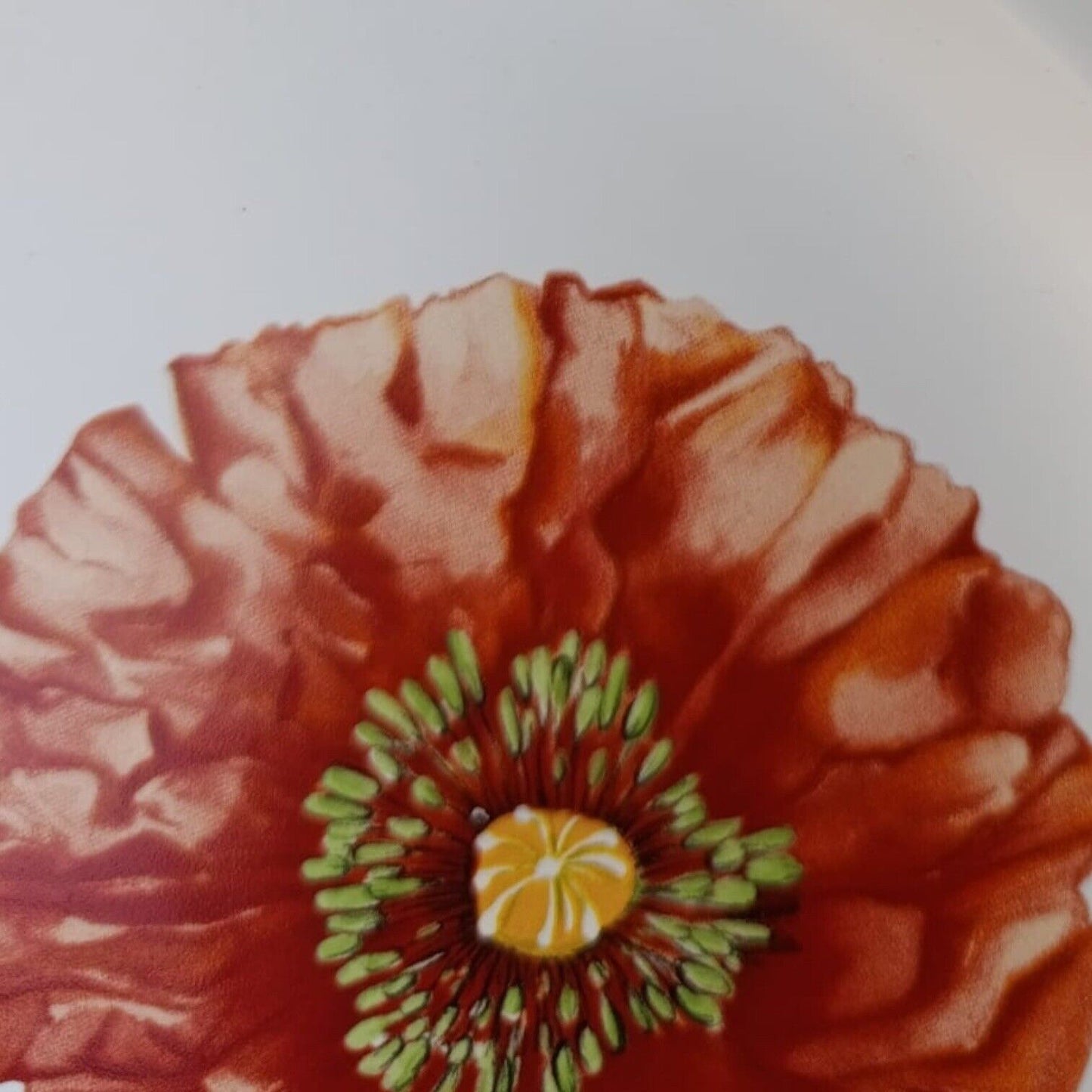 Piatto Villeroy Boch Flora Summerfield Grande